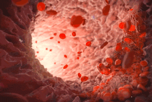 1781253266722991.gif
