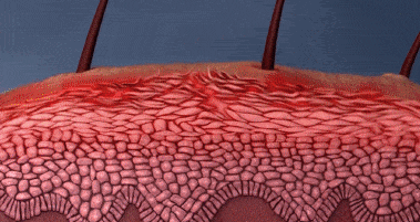 1782011146356682.gif